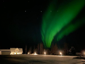 Northern Lights exclusive house by the river, Boden